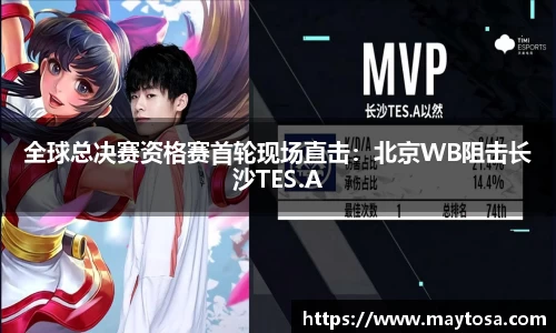 智博19