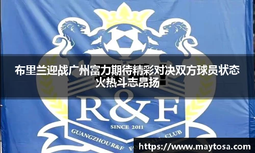 智博19有限公司